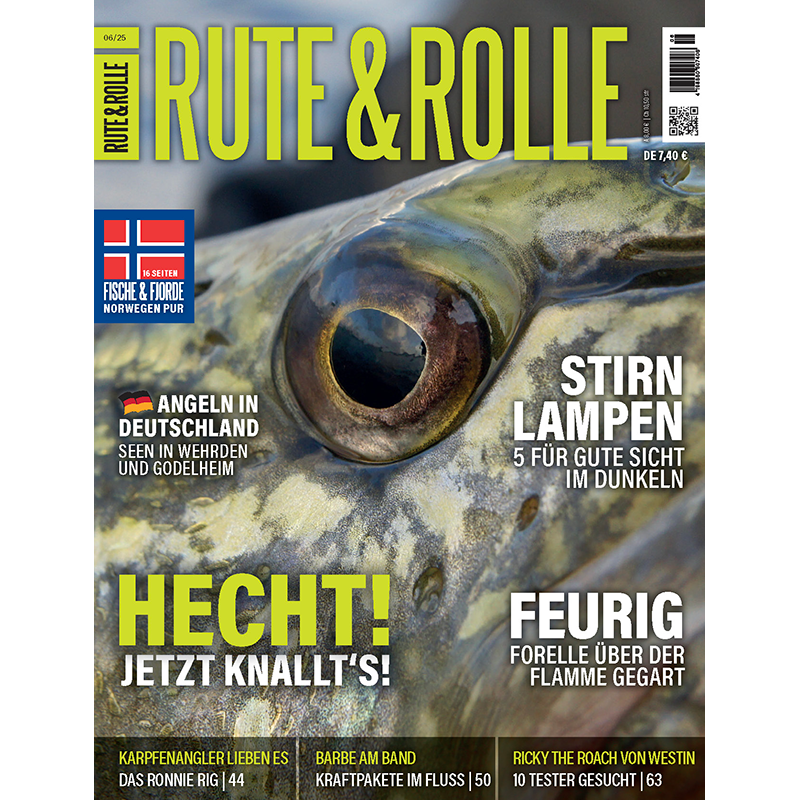 Heft Nr. 06/25